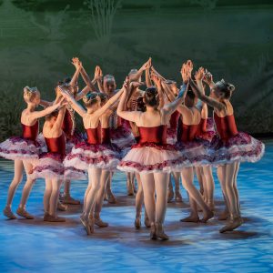 Satumetsän Pionit (Baletti 3) | Lumikki